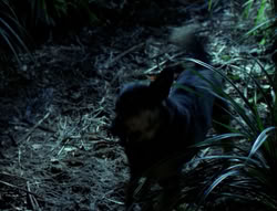 extant_XenaWarriorPrincess_4x03_AFamilyAffair_00149