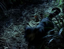 extant_XenaWarriorPrincess_4x03_AFamilyAffair_00150