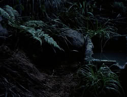 extant_XenaWarriorPrincess_4x03_AFamilyAffair_00152