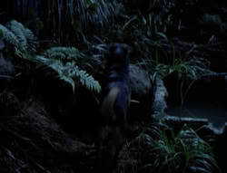 extant_XenaWarriorPrincess_4x03_AFamilyAffair_00153