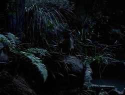 extant_XenaWarriorPrincess_4x03_AFamilyAffair_00154