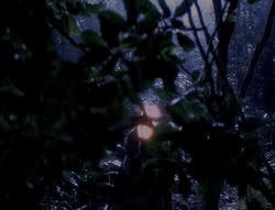 extant_XenaWarriorPrincess_4x03_AFamilyAffair_00160