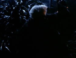 extant_XenaWarriorPrincess_4x03_AFamilyAffair_00164