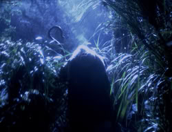 extant_XenaWarriorPrincess_4x03_AFamilyAffair_00166