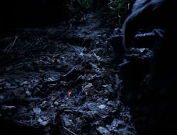 extant_XenaWarriorPrincess_4x03_AFamilyAffair_00168