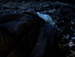 extant_XenaWarriorPrincess_4x03_AFamilyAffair_00169