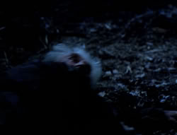 extant_XenaWarriorPrincess_4x03_AFamilyAffair_00171