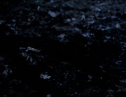 extant_XenaWarriorPrincess_4x03_AFamilyAffair_00172