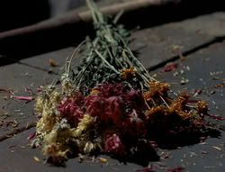 extant_XenaWarriorPrincess_4x03_AFamilyAffair_00187