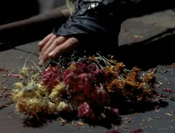 extant_XenaWarriorPrincess_4x03_AFamilyAffair_00188