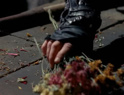 extant_XenaWarriorPrincess_4x03_AFamilyAffair_00189