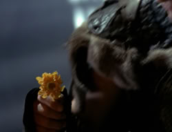 extant_XenaWarriorPrincess_4x03_AFamilyAffair_00251