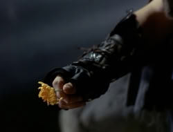 extant_XenaWarriorPrincess_4x03_AFamilyAffair_00252