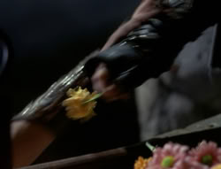 extant_XenaWarriorPrincess_4x03_AFamilyAffair_00253