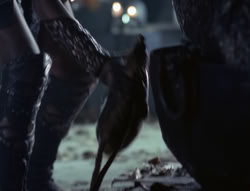 extant_XenaWarriorPrincess_4x03_AFamilyAffair_00275