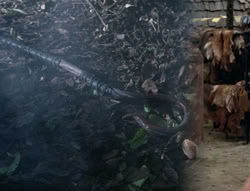 extant_XenaWarriorPrincess_4x03_AFamilyAffair_00722