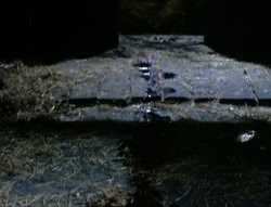 extant_XenaWarriorPrincess_4x03_AFamilyAffair_00932