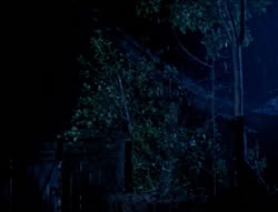 extant_XenaWarriorPrincess_4x03_AFamilyAffair_01041