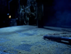 extant_XenaWarriorPrincess_4x03_AFamilyAffair_01091