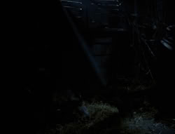 extant_XenaWarriorPrincess_4x03_AFamilyAffair_01109