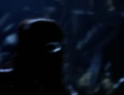 extant_XenaWarriorPrincess_4x03_AFamilyAffair_01130