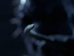 extant_XenaWarriorPrincess_4x03_AFamilyAffair_01158