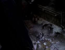 extant_XenaWarriorPrincess_4x03_AFamilyAffair_01232