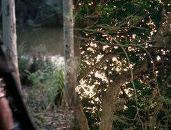extant_XenaWarriorPrincess_4x03_AFamilyAffair_01770