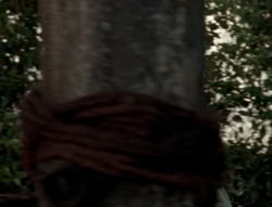 extant_XenaWarriorPrincess_4x03_AFamilyAffair_01798