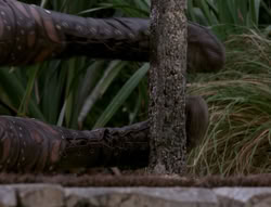 extant_XenaWarriorPrincess_4x03_AFamilyAffair_01861