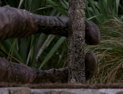 extant_XenaWarriorPrincess_4x03_AFamilyAffair_01862