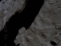 extant_XenaWarriorPrincess_4x03_AFamilyAffair_01942