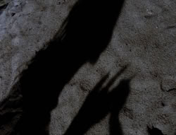 extant_XenaWarriorPrincess_4x03_AFamilyAffair_01945