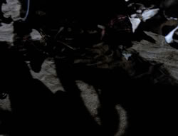 extant_XenaWarriorPrincess_4x03_AFamilyAffair_01959