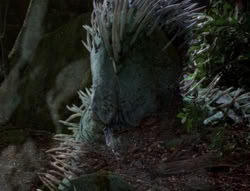 extant_XenaWarriorPrincess_4x03_AFamilyAffair_02105