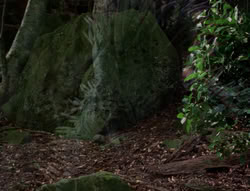 extant_XenaWarriorPrincess_4x03_AFamilyAffair_02106
