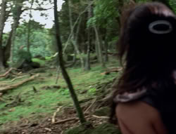 extant_XenaWarriorPrincess_4x03_AFamilyAffair_02114