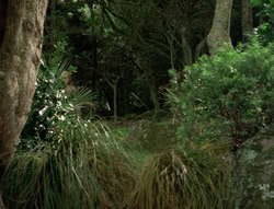 extant_XenaWarriorPrincess_4x03_AFamilyAffair_02121