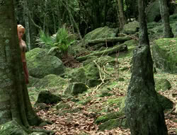 extant_XenaWarriorPrincess_4x03_AFamilyAffair_02142