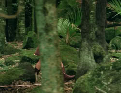 extant_XenaWarriorPrincess_4x03_AFamilyAffair_02196