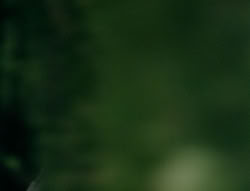 extant_XenaWarriorPrincess_4x03_AFamilyAffair_02208