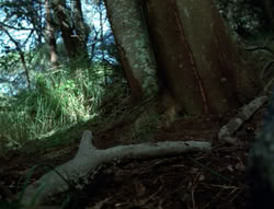 extant_XenaWarriorPrincess_4x03_AFamilyAffair_02224