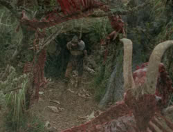 extant_XenaWarriorPrincess_4x03_AFamilyAffair_02514