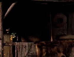extant_XenaWarriorPrincess_4x03_AFamilyAffair_02737