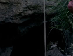 extant_XenaWarriorPrincess_4x03_AFamilyAffair_02951