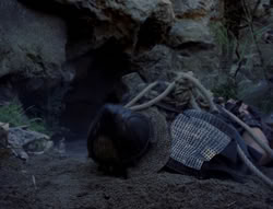 extant_XenaWarriorPrincess_4x03_AFamilyAffair_02952