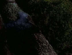 extant_XenaWarriorPrincess_4x03_AFamilyAffair_02954