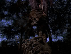 extant_XenaWarriorPrincess_4x03_AFamilyAffair_02955