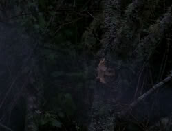extant_XenaWarriorPrincess_4x03_AFamilyAffair_02956