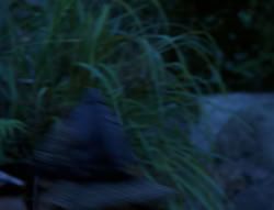 extant_XenaWarriorPrincess_4x03_AFamilyAffair_02992